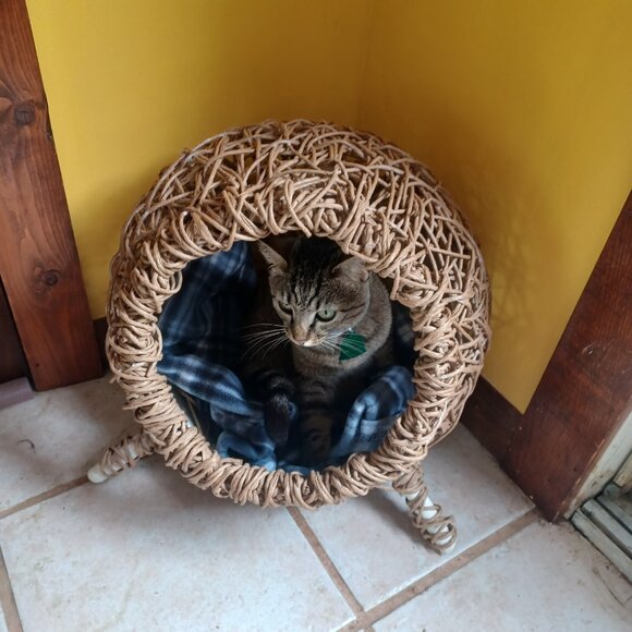 Handmade FiberRush Cat/Dog Bed - Picture 15 of 16